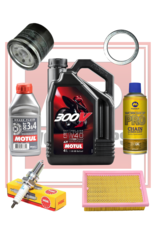AP Workshops Full Service Kit RSV4 11-14