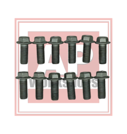 AP Workshops Front Disc Bolt Kit