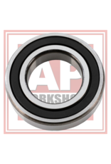 AP Workshops RS660, Tuono 660 and RS457 Front Wheel Bearing 2B007579