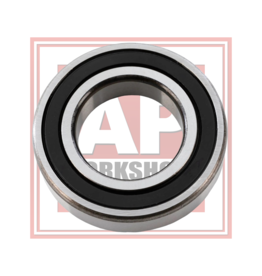 AP Workshops RS660, Tuono 660 and RS457 Front Wheel Bearing 2B007579