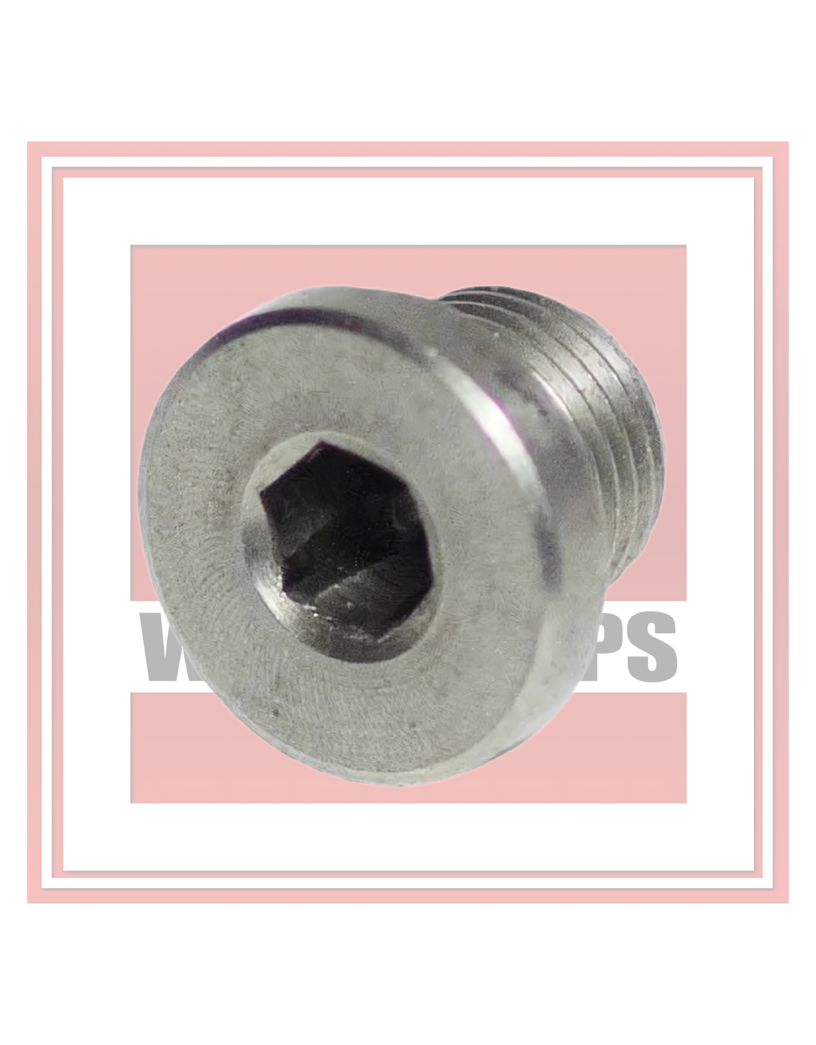 Aprilia Exhaust Bung CO2 AP8119497