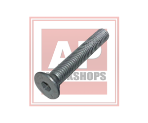 Rear Stand Bush Screw M6X40 AP8150468 - AP Workshops