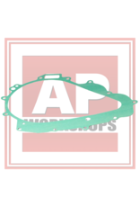 Aprilia Generator Cover Gasket (V990 Engine) AP0650341