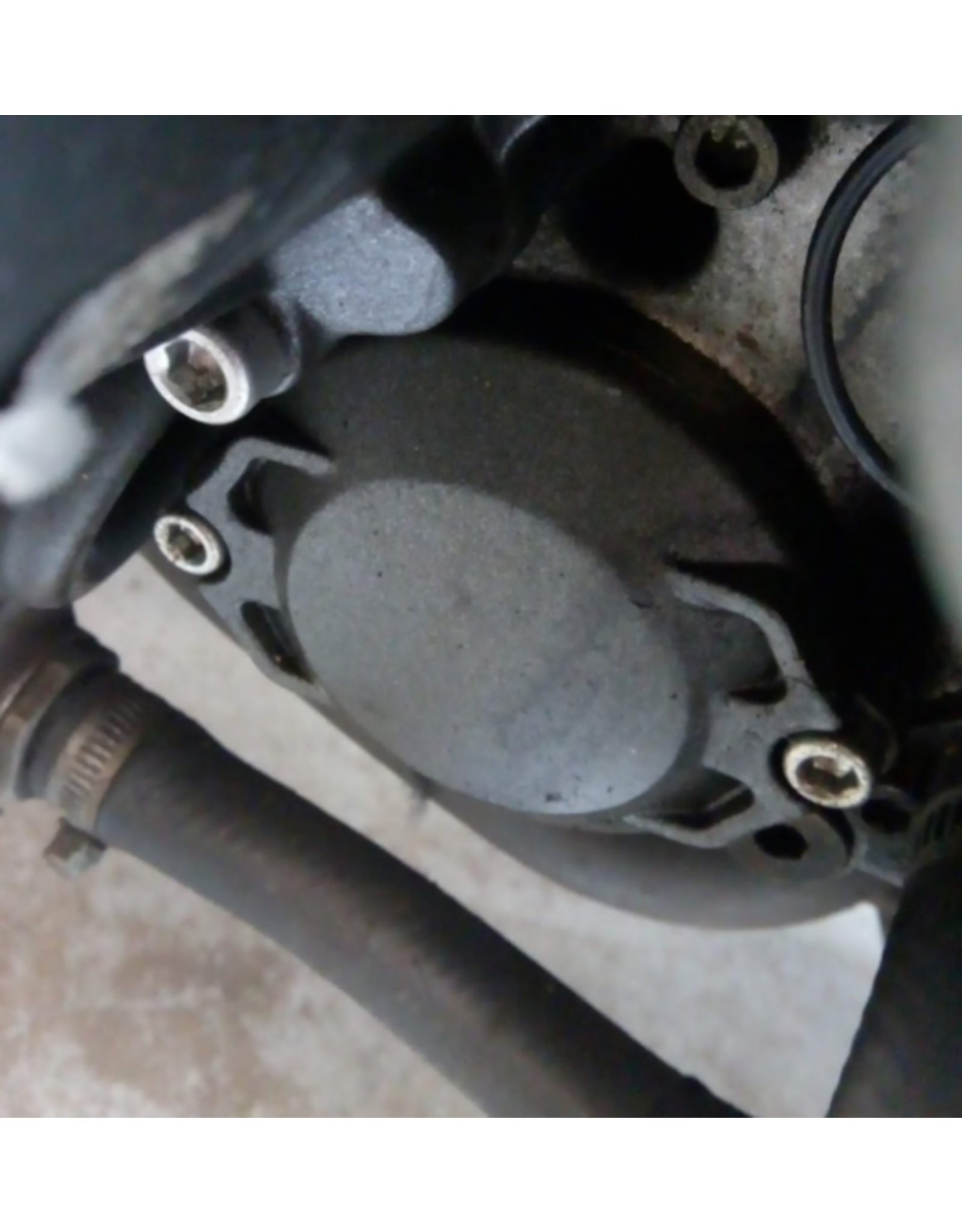 AP Workshops Motul Oil Service Kit Standard Filter