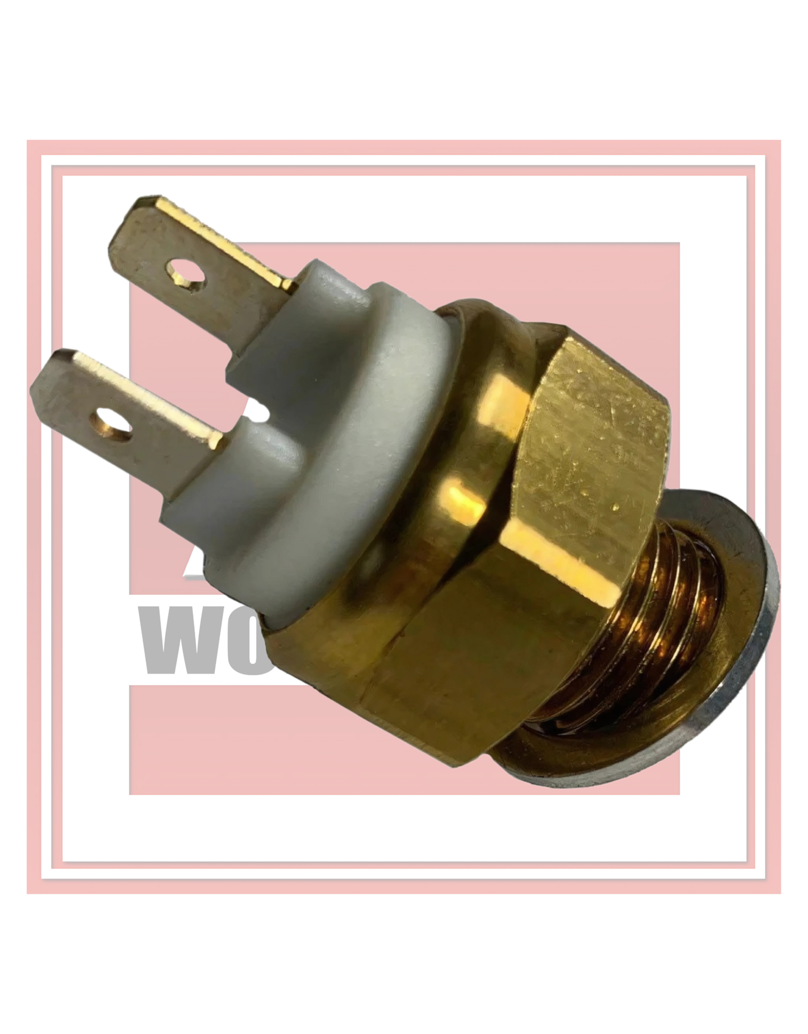 AP Workshops Fan Switch AP8112939