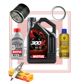 Full Service Kit RSV4 15 - 19