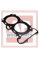 Aprilia Aprilia RS660 Head Gasket 1A011923