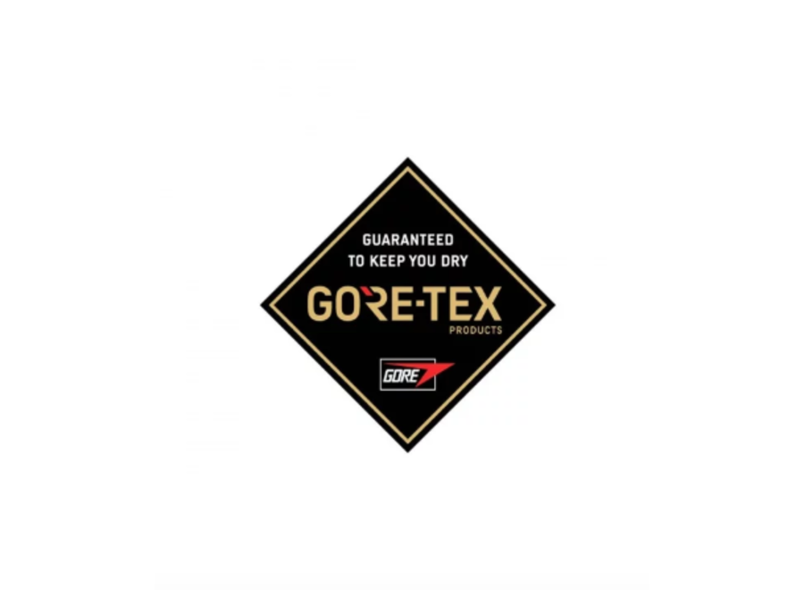 Dakine Baron Gore-Tex Trigger Mitt 