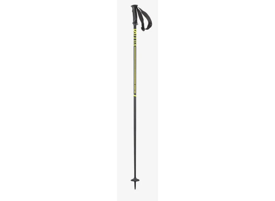 Salomon Ski Poles 08 -