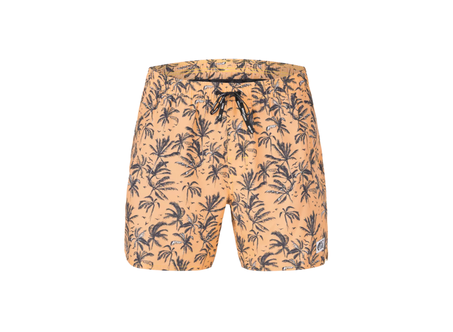 Picture PIAU Boardshorts Palmtrees