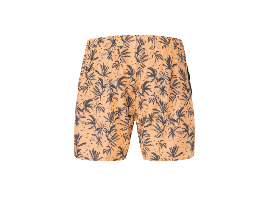 Picture PIAU Boardshorts Palmtrees