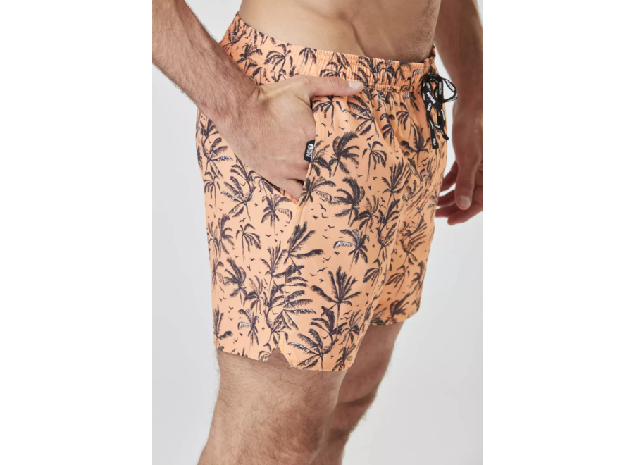 Picture PIAU Boardshorts Palmtrees