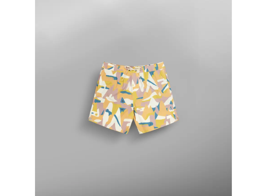 Picture Piau 15 Boardshorts