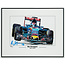 Litho / Acryl Max Verstappen STR10 | Toro Rosso 50x70cm