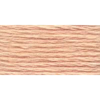 Venus Borduurgaren #25 - 2121