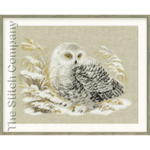 RIOLIS Borduurpakket White Owl - RIOLIS