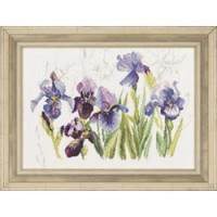 Telpakket kit 3 Blauwe irissen