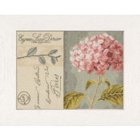 Telpakket kit Hortensia