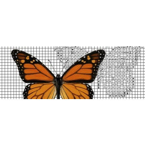 Papilion Borduurpatroon van foto 3 - kleuren - 48 x 64 cm