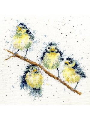 Bothy Threads Borduurpakket Hannah Dale - Sweet Tweet - Bothy Threads