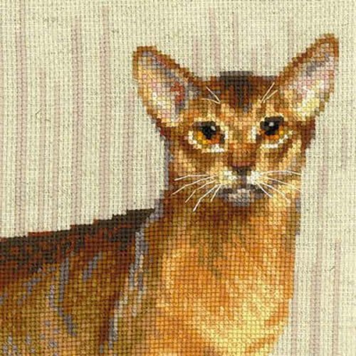 RIOLIS Borduurpakket Abyssinian cats - RIOLIS