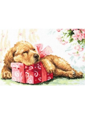 Magic Needle CI Borduurpakket Guarding your gift - Magic Needle