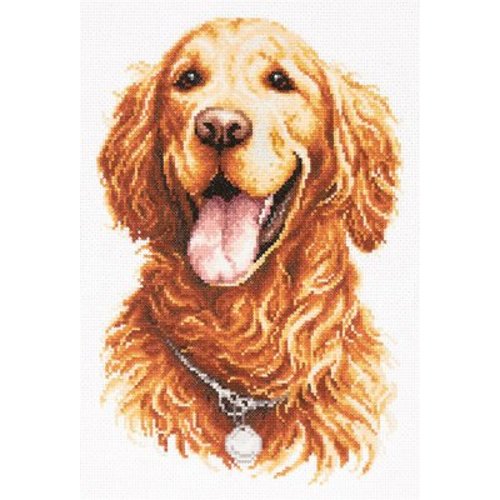 Magic Needle Borduurpakket Golden Retriever - Magic Needle Magic Needle Borduurpakket Golden Retriever - Magic Needle