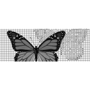 Papilion Borduurpatroon van foto 2 - zwart-wit - 36 x 48 cm