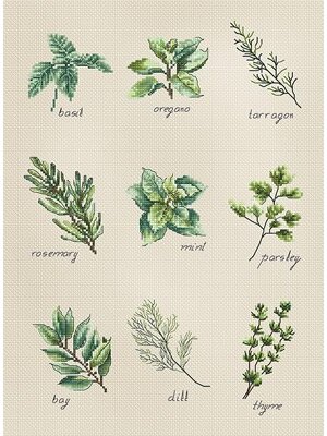 Luca-S Borduurpakket Spices and Herbs - Luca-S Luca-S Borduurpakket Spices and Herbs - Luca-S