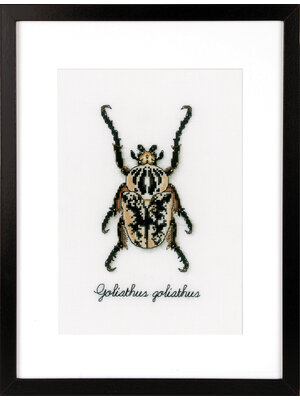 Vervaco Telpakket kit LMV Beige kever