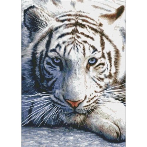 Heaven and Earth Designs  David Penfound Artworks: White tiger