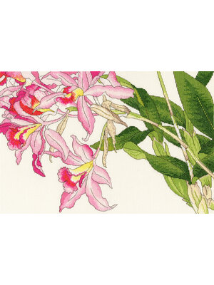 Bothy Threads Borduurpakket Bothy Designs - Orchid Blooms - Bothy Threads Bothy Threads Borduurpakket Bothy Designs - Orchid Blooms - Bothy Threads