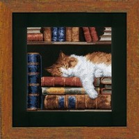 Telpakket kit Slapende kat op boekenrek
