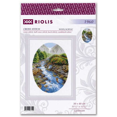 RIOLIS Borduurpakket Upstream - RIOLIS