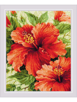 RIOLISf Borduurpakket Hibiscus - RIOLIS RIOLISf Borduurpakket Hibiscus - RIOLIS