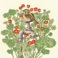 Borduurpakket Fay Miladowska - Nasturtium Garden - Bothy Threads