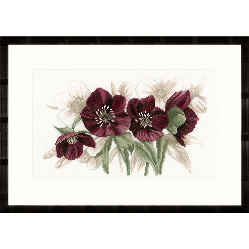 Lanarte Telpakket kit Helleborus Lanarte Telpakket kit Helleborus