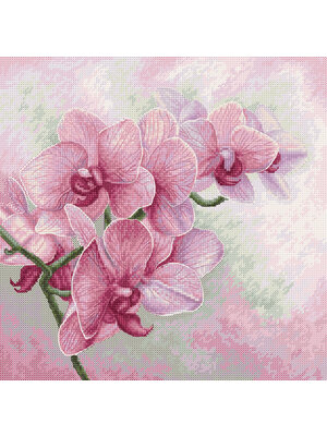 Luca-S Borduurpakket Graceful Orchids  - Luca-S Luca-S Borduurpakket Graceful Orchids  - Luca-S
