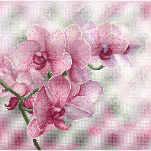 Luca-S Borduurpakket Graceful Orchids  - Luca-S