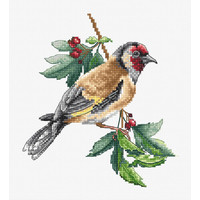 Borduurpakket Goldfinch Bird - Luca-S