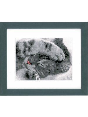 Vervaco Official Telpakket kit Schattige kitten Vervaco Official Telpakket kit Schattige kitten