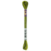 DMC Color Variations 4066