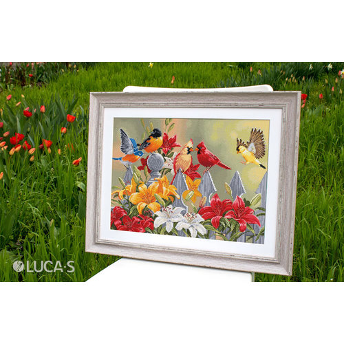 Luca-S Borduurpakket Backyard Birds with Daylilies - Luca-S