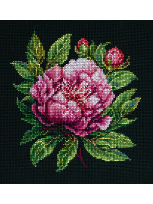 Luca-S Borduurpakket Peter Brand Peony - LUCA-S