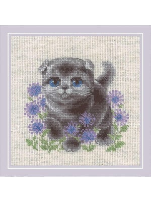 RIOLIS Borduurpakket Lop-eared Kitten - RIOLIS