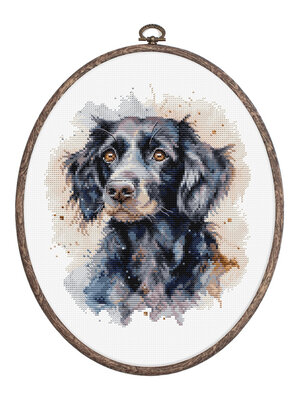 Luca-S Borduurpakket The Border Collie - Luca-S