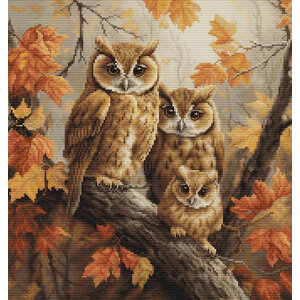 Luca-S Borduurpakket The Owls Family - Luca-S