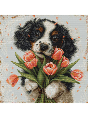 Luca-S Borduurpakket The Cocker Spaniel Puppy - Luca-S