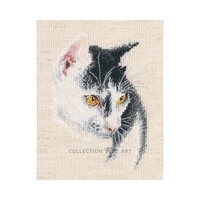 Borduurpakket Fascinating - RTO