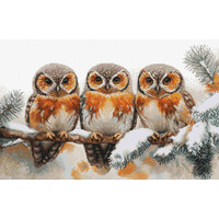 Borduurpakket Owls in The Silence of Winter - Luca-S